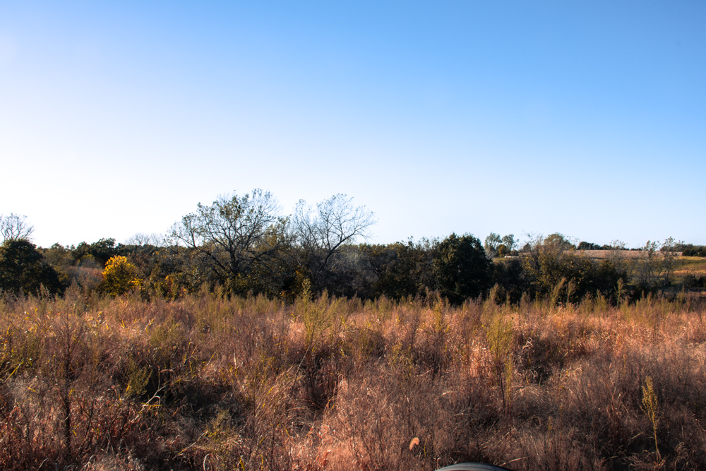 Country Living with Income