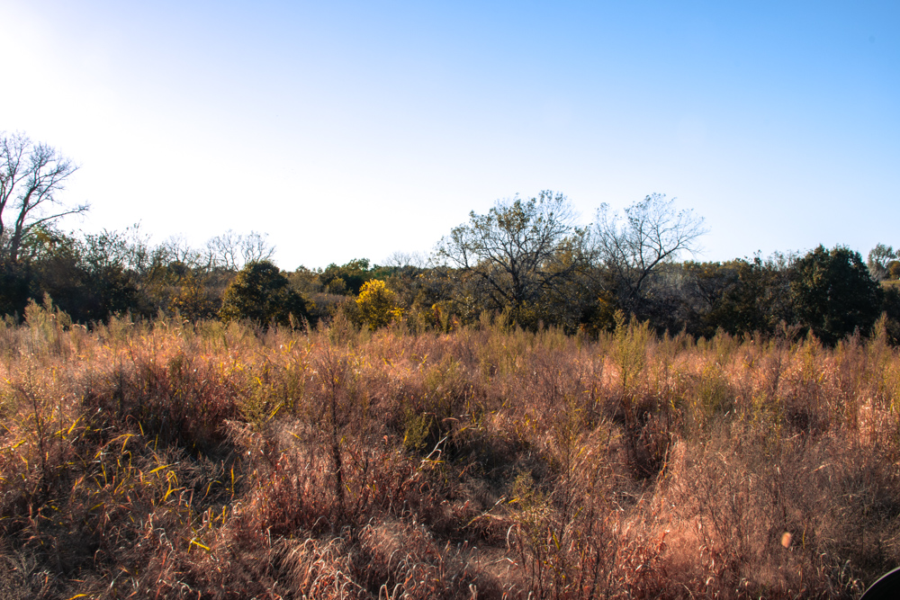 Country Living with Income