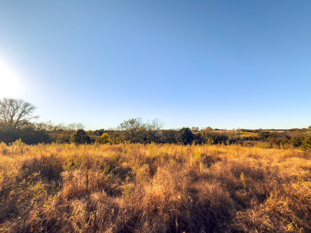 Country Living with Income