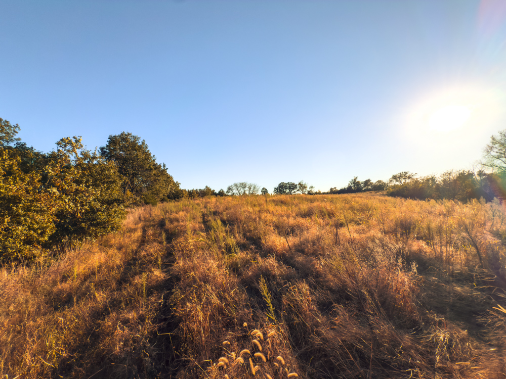 Country Living with Income