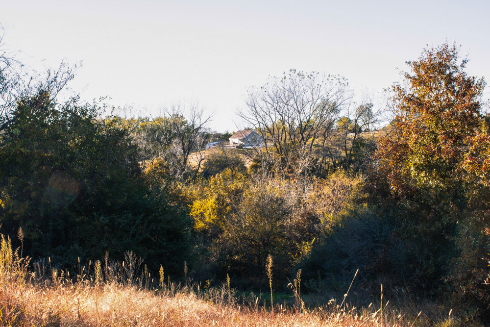 Country Living with Income