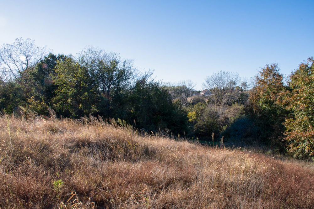 Country Living with Income