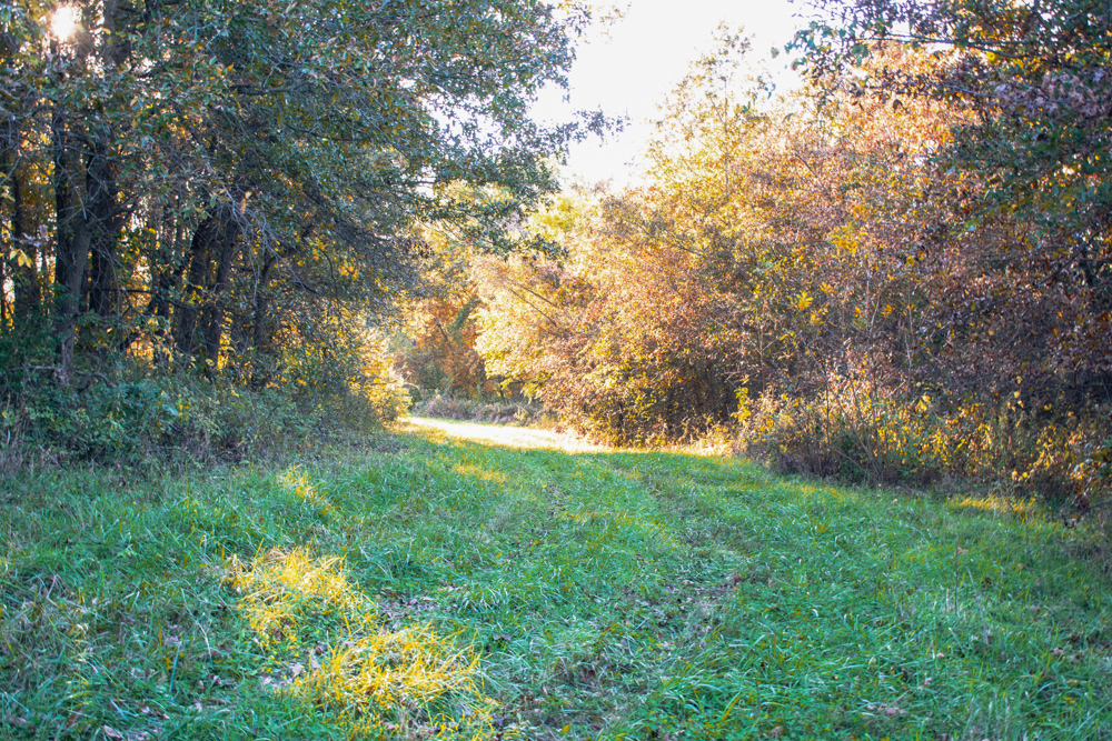 Country Living with Income