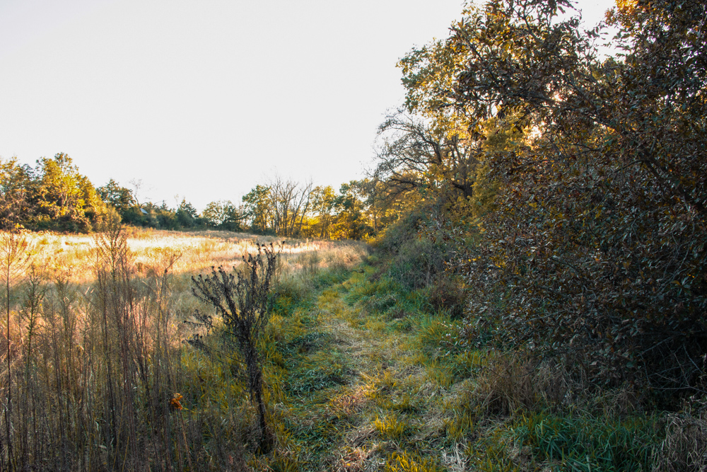 Country Living with Income