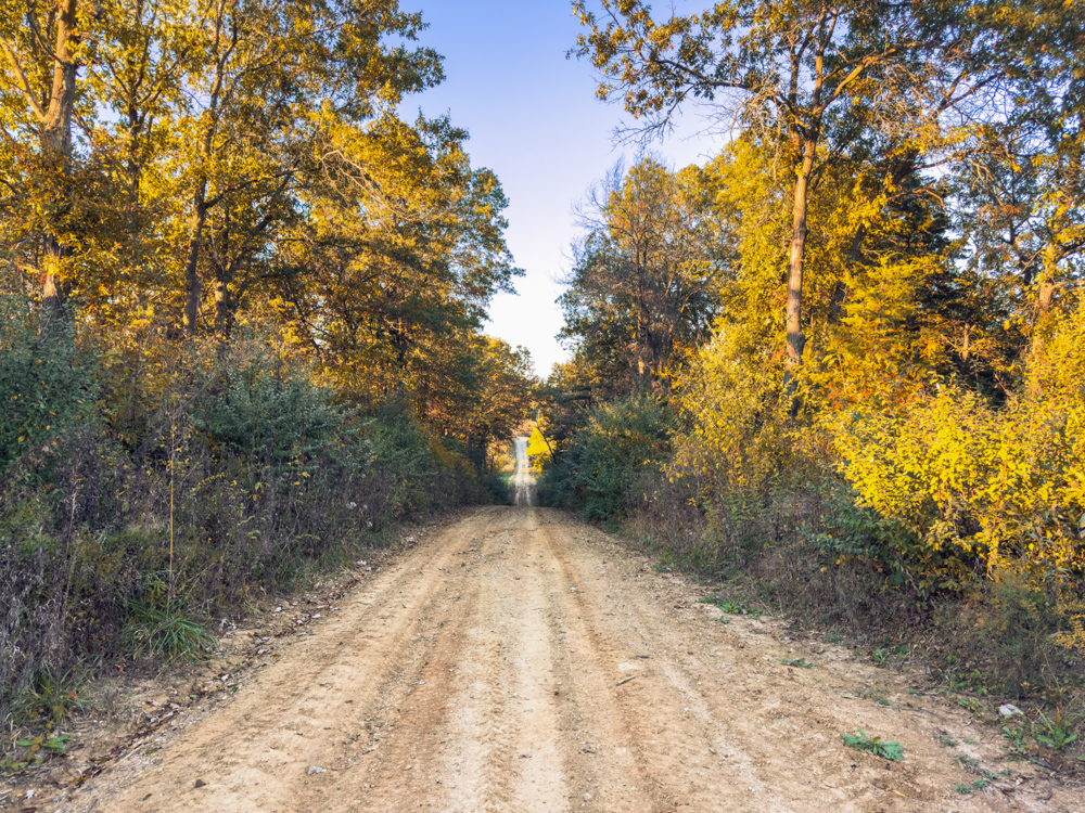 Country Living with Income