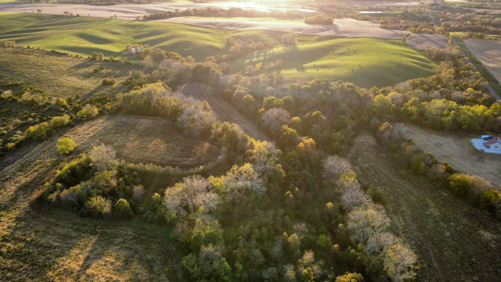 Country Living with Income