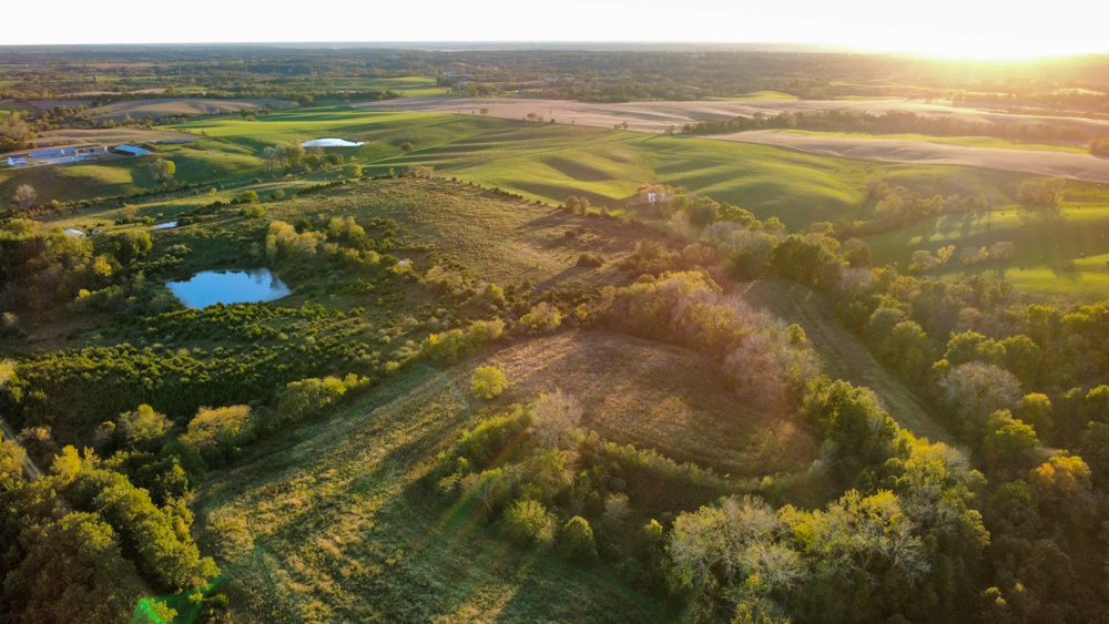 Country Living with Income