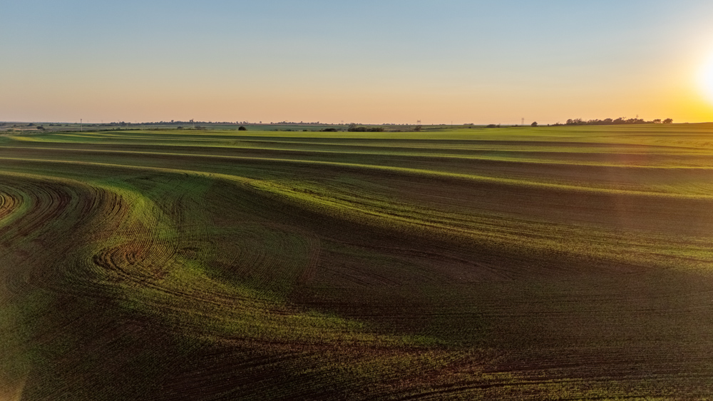 160 +/- Acres of Tillable and Grassland with Strong Soils & Income