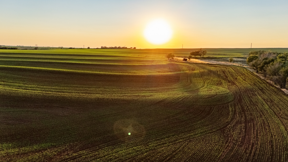 160 +/- Acres of Tillable and Grassland with Strong Soils & Income