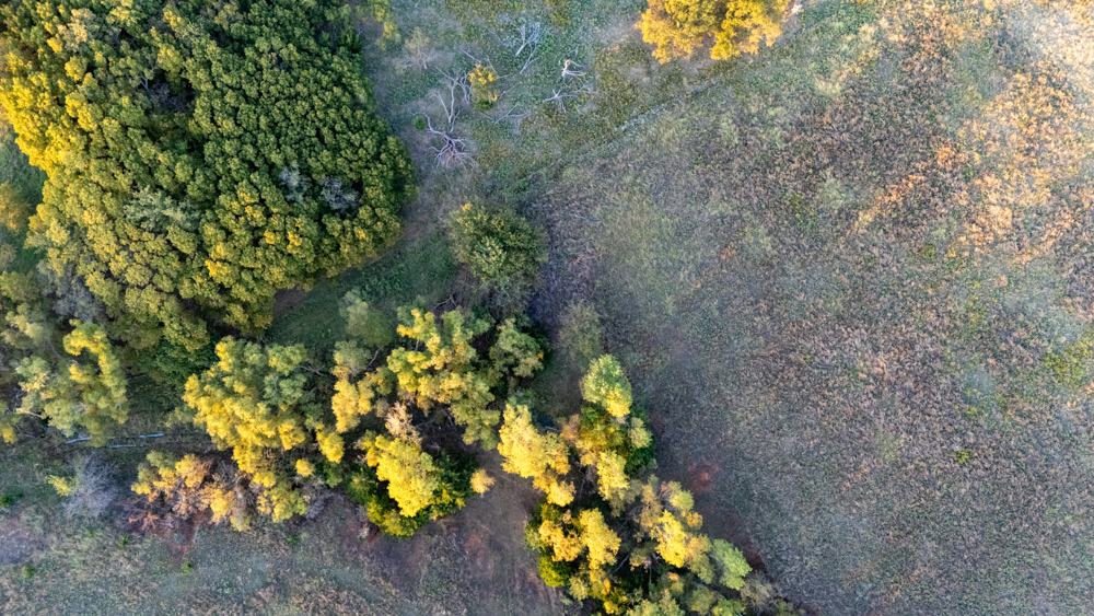 160 +/- Acres of Tillable and Grassland with Strong Soils & Income