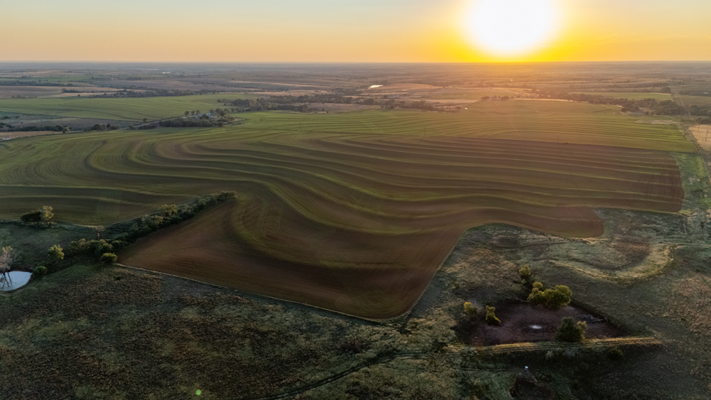 160 +/- Acres of Tillable and Grassland with Strong Soils & Income