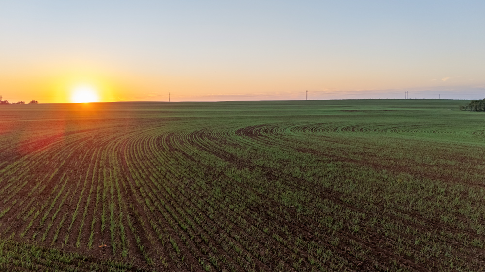 160 +/- Acres of Tillable and Grassland with Strong Soils & Income