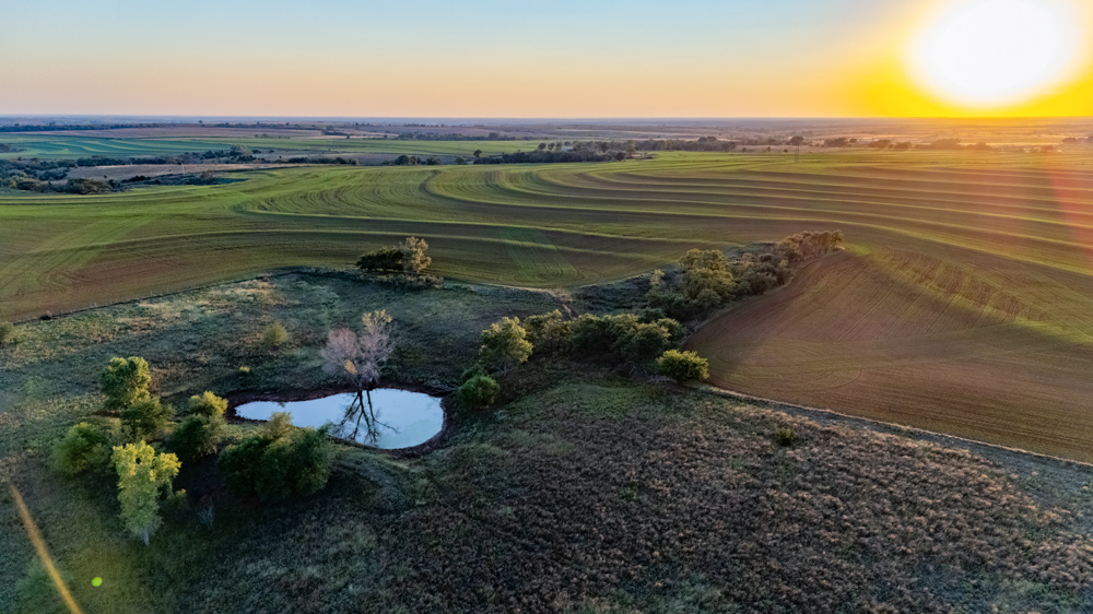 160 +/- Acres of Tillable and Grassland with Strong Soils & Income