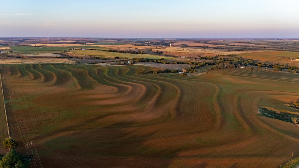 160 +/- Acres of Tillable and Grassland with Strong Soils & Income