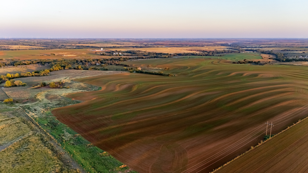 160 +/- Acres of Tillable and Grassland with Strong Soils & Income