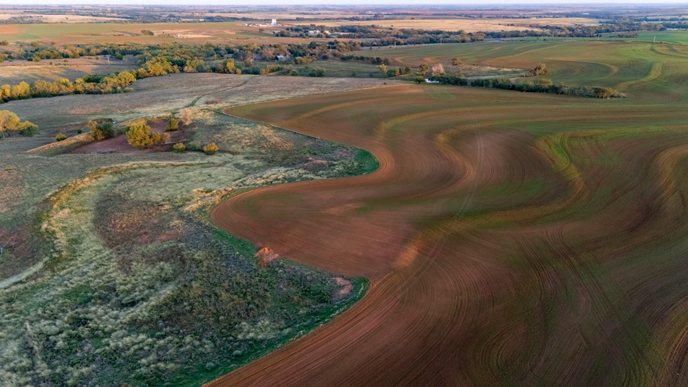 160 +/- Acres of Tillable and Grassland with Strong Soils & Income