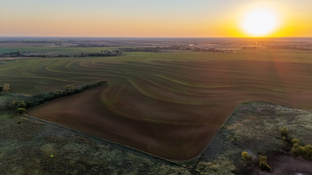 160 +/- Acres of Tillable and Grassland with Strong Soils & Income
