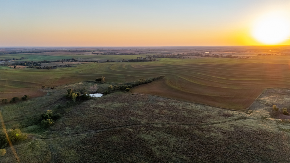 160 +/- Acres of Tillable and Grassland with Strong Soils & Income