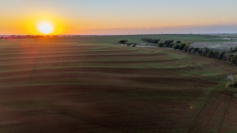 160 +/- Acres of Tillable and Grassland with Strong Soils & Income