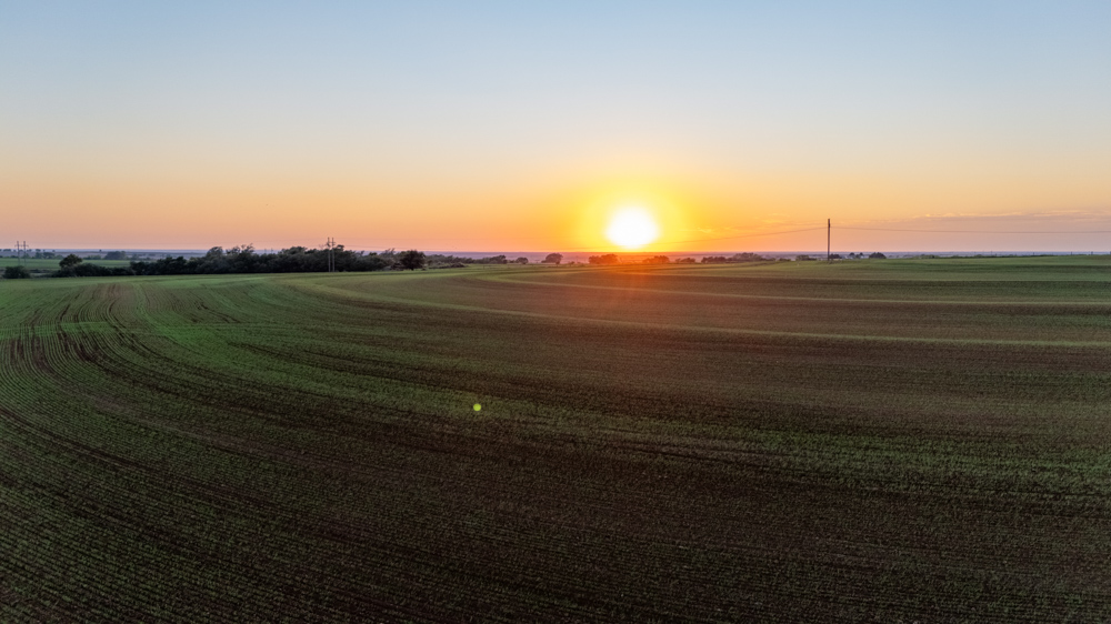 160 +/- Acres of Tillable and Grassland with Strong Soils & Income