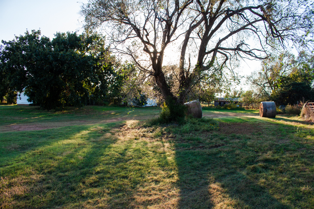 160 +/- Acres of Tillable and Grassland with Strong Soils & Income