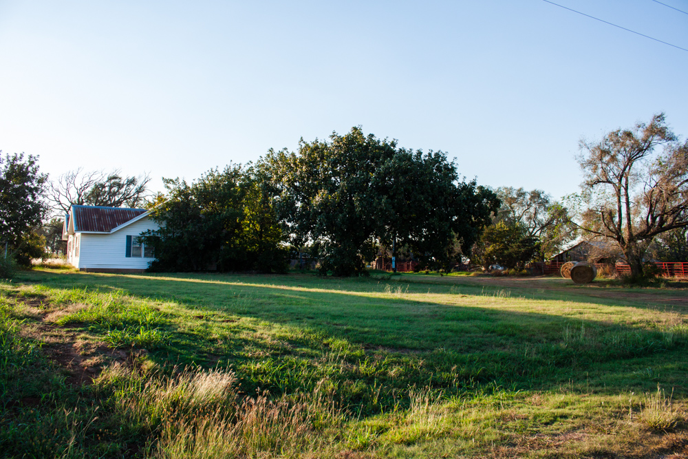 160 +/- Acres of Tillable and Grassland with Strong Soils & Income