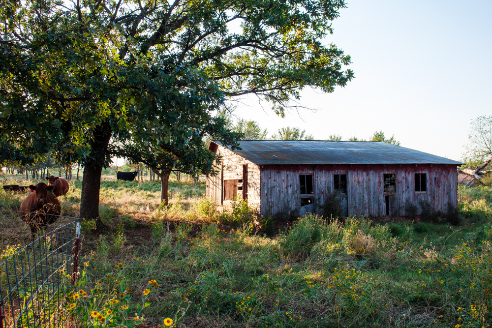 160 +/- Acres of Tillable and Grassland with Strong Soils & Income