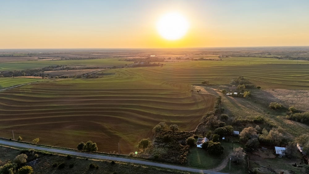160 +/- Acres of Tillable and Grassland with Strong Soils & Income
