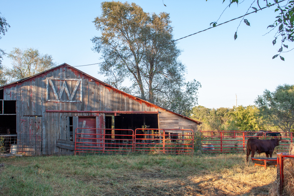 160 +/- Acres of Tillable and Grassland with Strong Soils & Income
