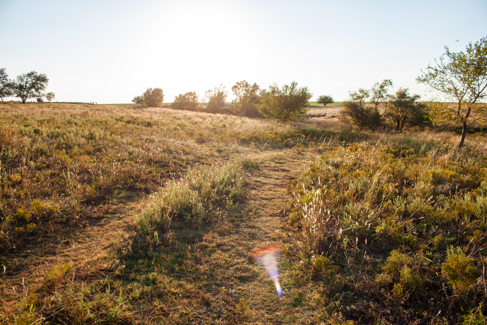 160 +/- Acres of Tillable and Grassland with Strong Soils & Income