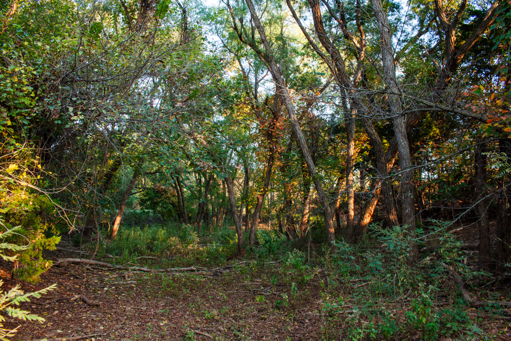 160 +/- Acres of Tillable and Grassland with Strong Soils & Income