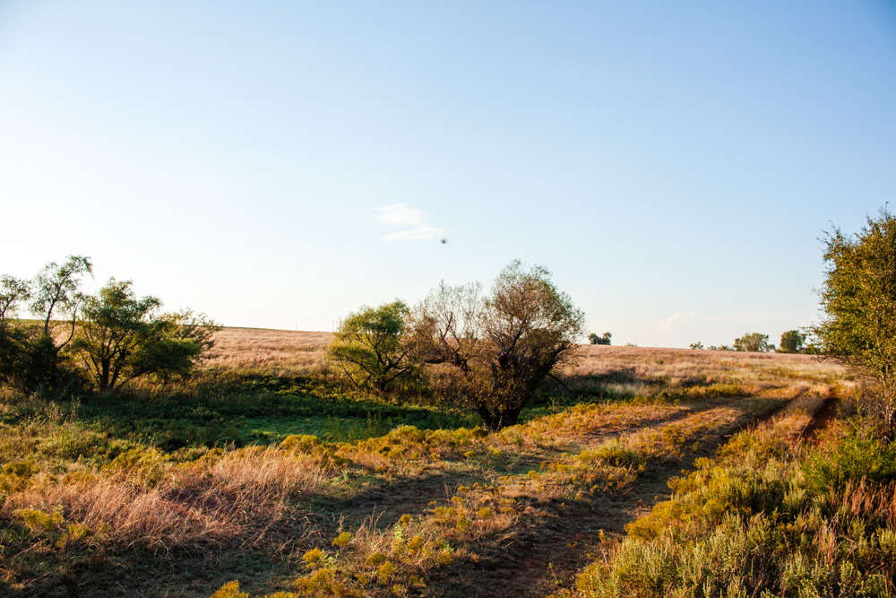 160 +/- Acres of Tillable and Grassland with Strong Soils & Income