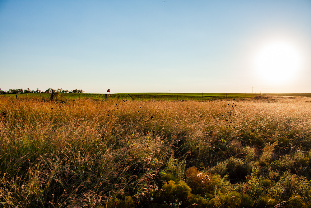 160 +/- Acres of Tillable and Grassland with Strong Soils & Income