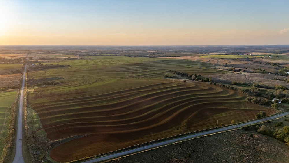 160 +/- Acres of Tillable and Grassland with Strong Soils & Income