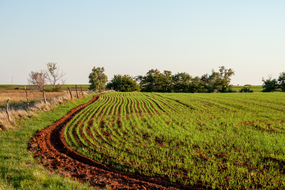 160 +/- Acres of Tillable and Grassland with Strong Soils & Income