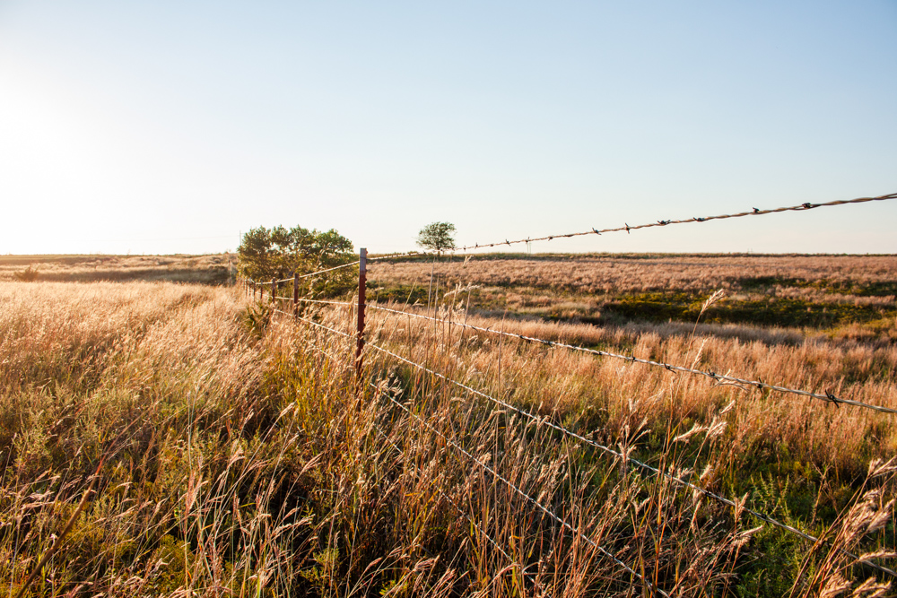 160 +/- Acres of Tillable and Grassland with Strong Soils & Income