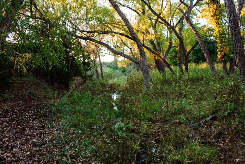 160 +/- Acres of Tillable and Grassland with Strong Soils & Income