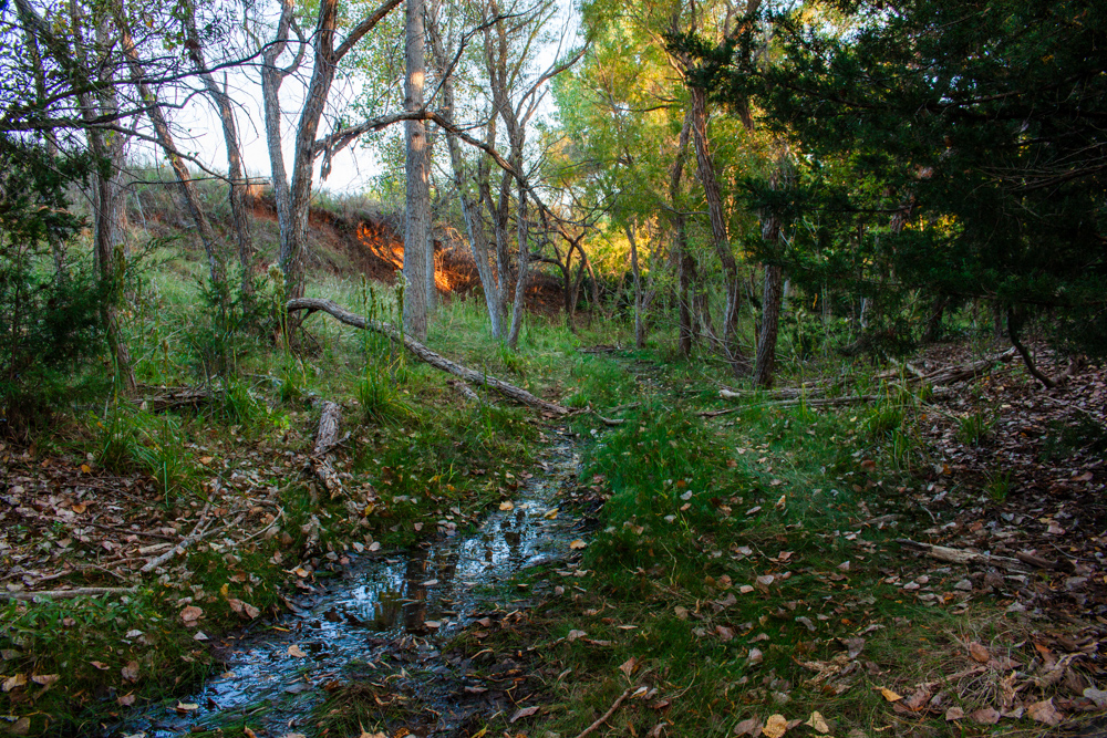 160 +/- Acres of Tillable and Grassland with Strong Soils & Income