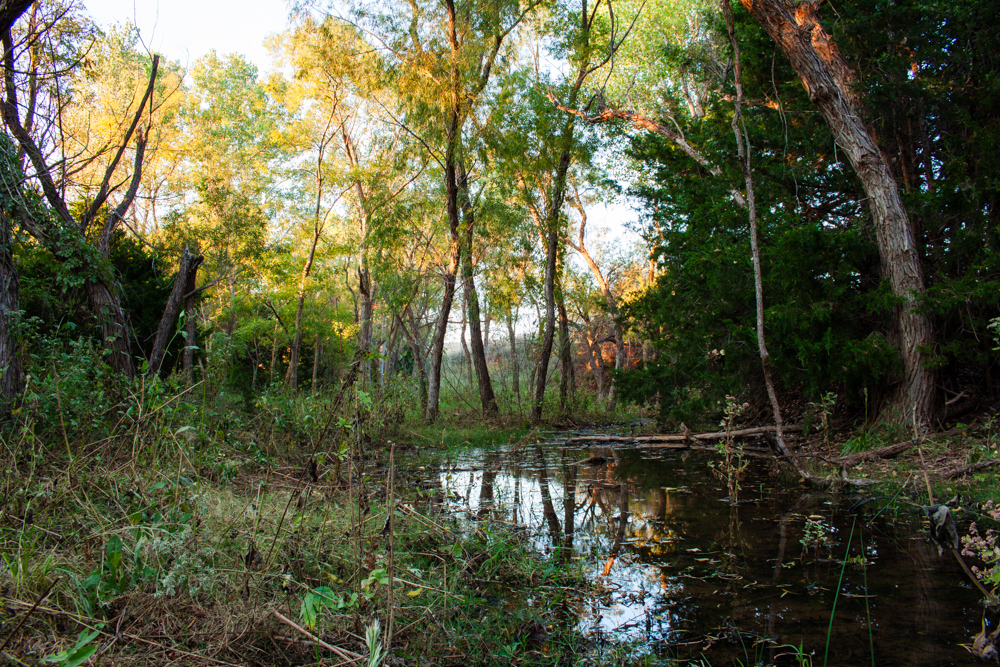 160 +/- Acres of Tillable and Grassland with Strong Soils & Income