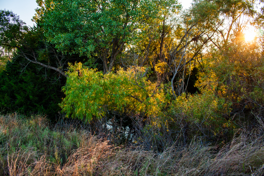 160 +/- Acres of Tillable and Grassland with Strong Soils & Income