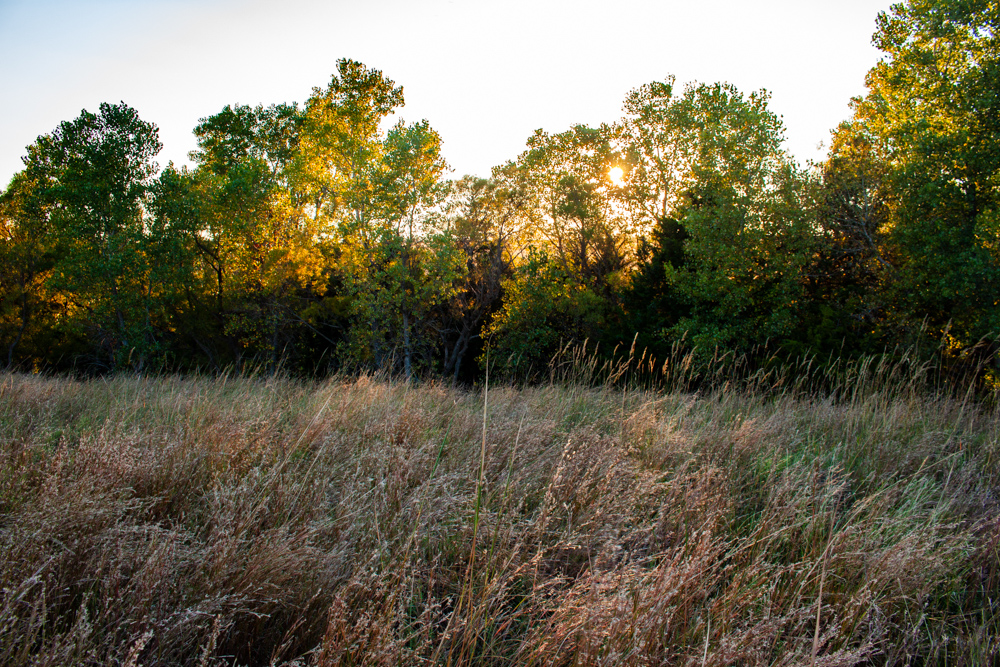 160 +/- Acres of Tillable and Grassland with Strong Soils & Income