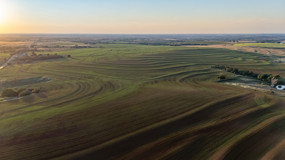 160 +/- Acres of Tillable and Grassland with Strong Soils & Income