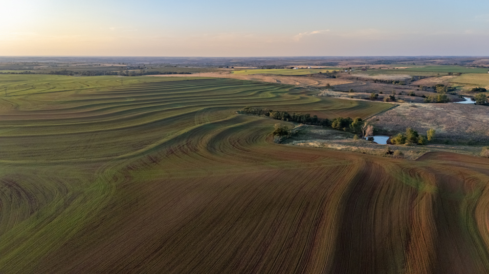 160 +/- Acres of Tillable and Grassland with Strong Soils & Income