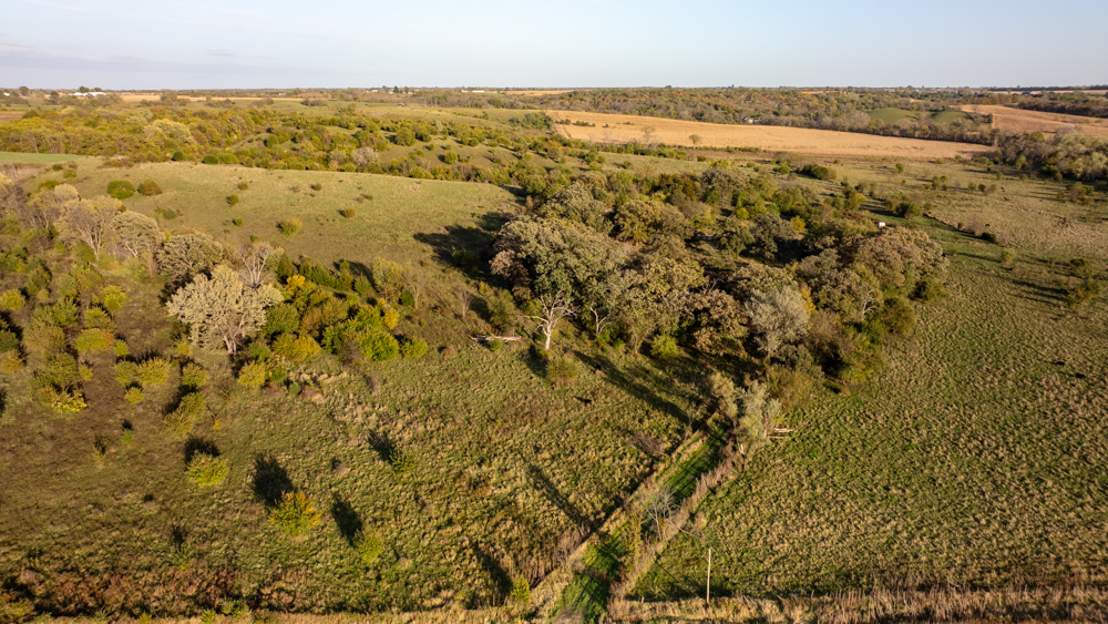 Exceptional Pasture Farm with World-Class Hunting & Recreational Potential