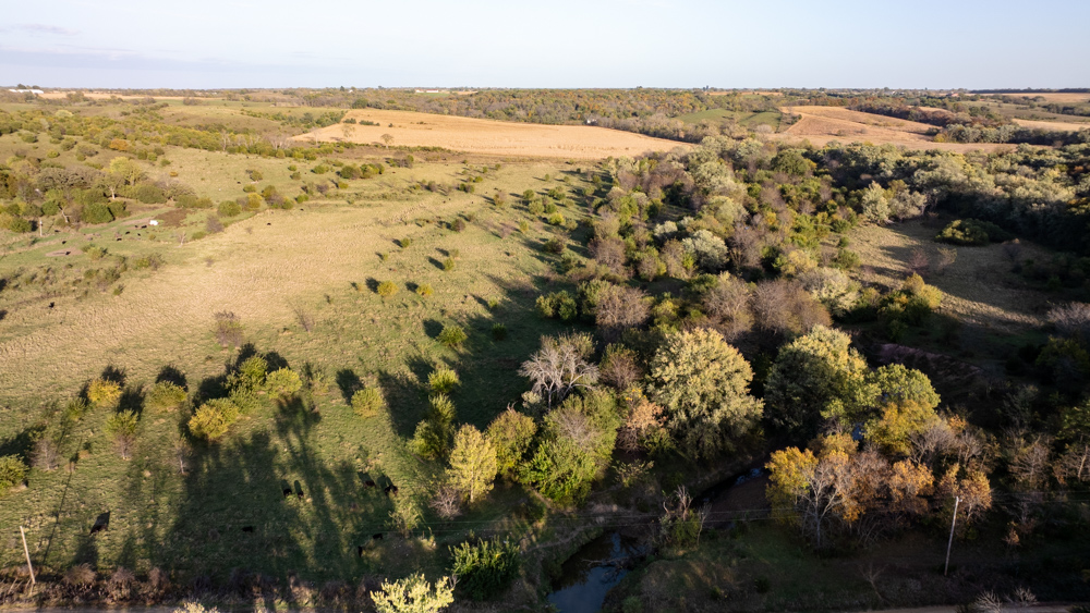 Exceptional Pasture Farm with World-Class Hunting & Recreational Potential