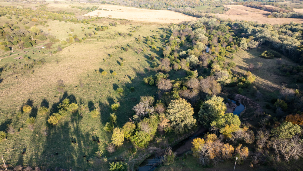 Exceptional Pasture Farm with World-Class Hunting & Recreational Potential