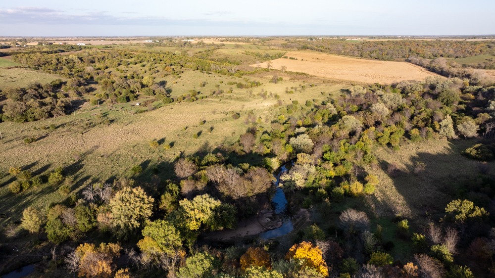 Exceptional Pasture Farm with World-Class Hunting & Recreational Potential