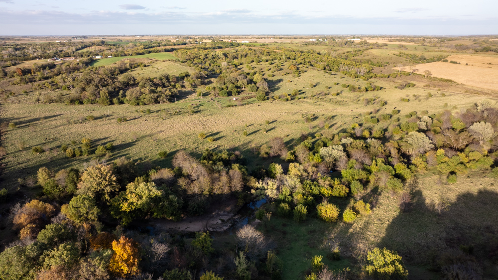 Exceptional Pasture Farm with World-Class Hunting & Recreational Potential