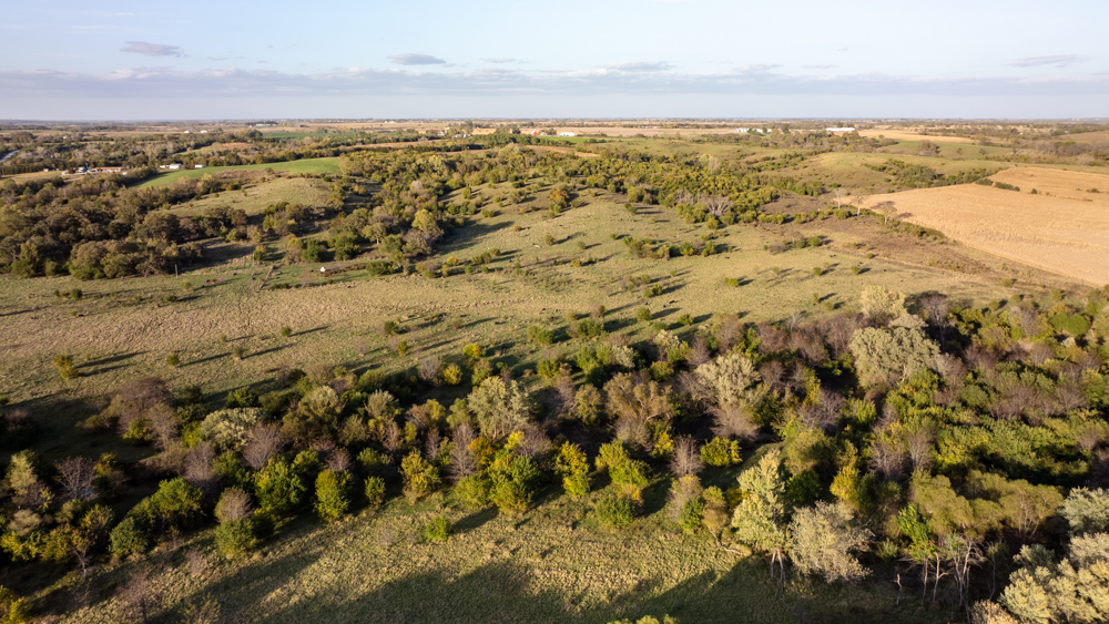 Exceptional Pasture Farm with World-Class Hunting & Recreational Potential