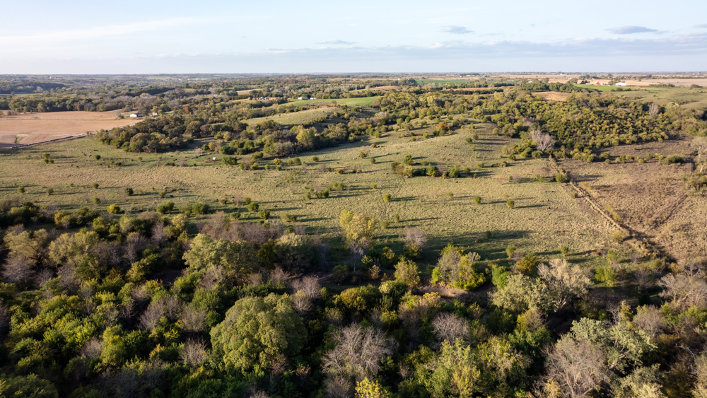 Exceptional Pasture Farm with World-Class Hunting & Recreational Potential